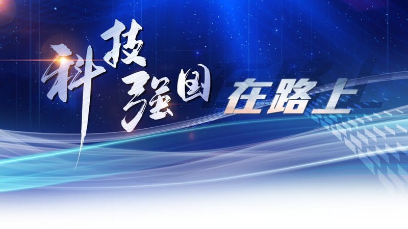 园区信息化建设：如何规避选型误区，构建高效网络**